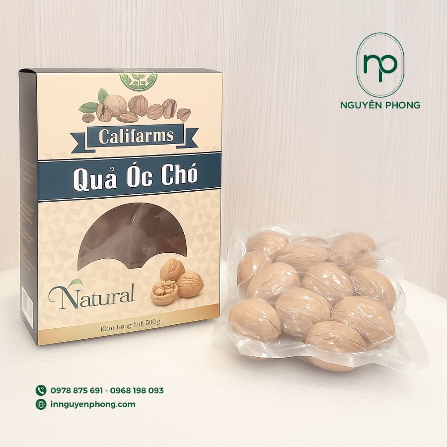 in-hop-giay-dung-oc-cho-gia-re-tai-ha-noi